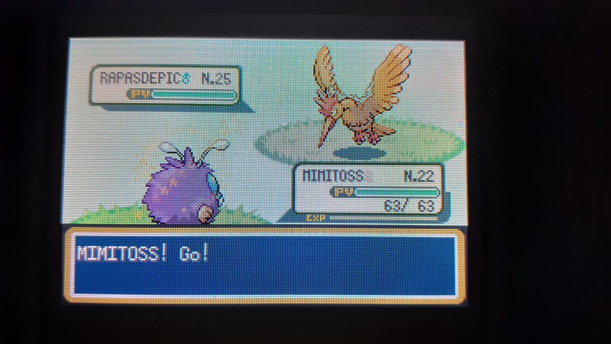 nepaspillon's tweet photo. [Phase 4] Et c'est un Mimitoss shiny 🌟 qui tombe pour la phase 4 de Rhinocorne. Il est arrivé en seulement 864 re's et en plus il rentre. Il me console du fail de noeunoeuf. Il est magnifique. Je passe donc en phase 5. @HKuiki @LaKlasse1 @Mathieu_tlr https://t.co/TJ19qqWbov