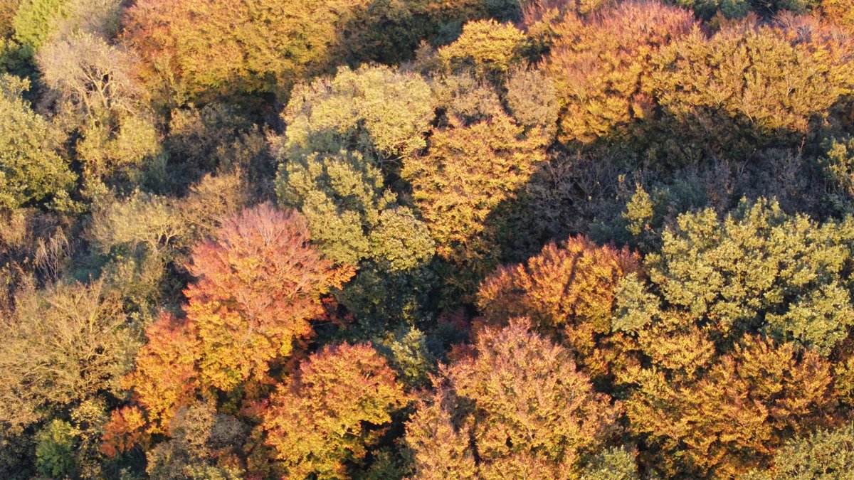 telfordultimate's tweet photo. Not had the drone up in a while, But with the #Cockshutt and #Middlepool within flying distance of my back garden, Time to take a quick flight
Amazing colours
#Telfordultimateguide https://t.co/rvVQloNYg8