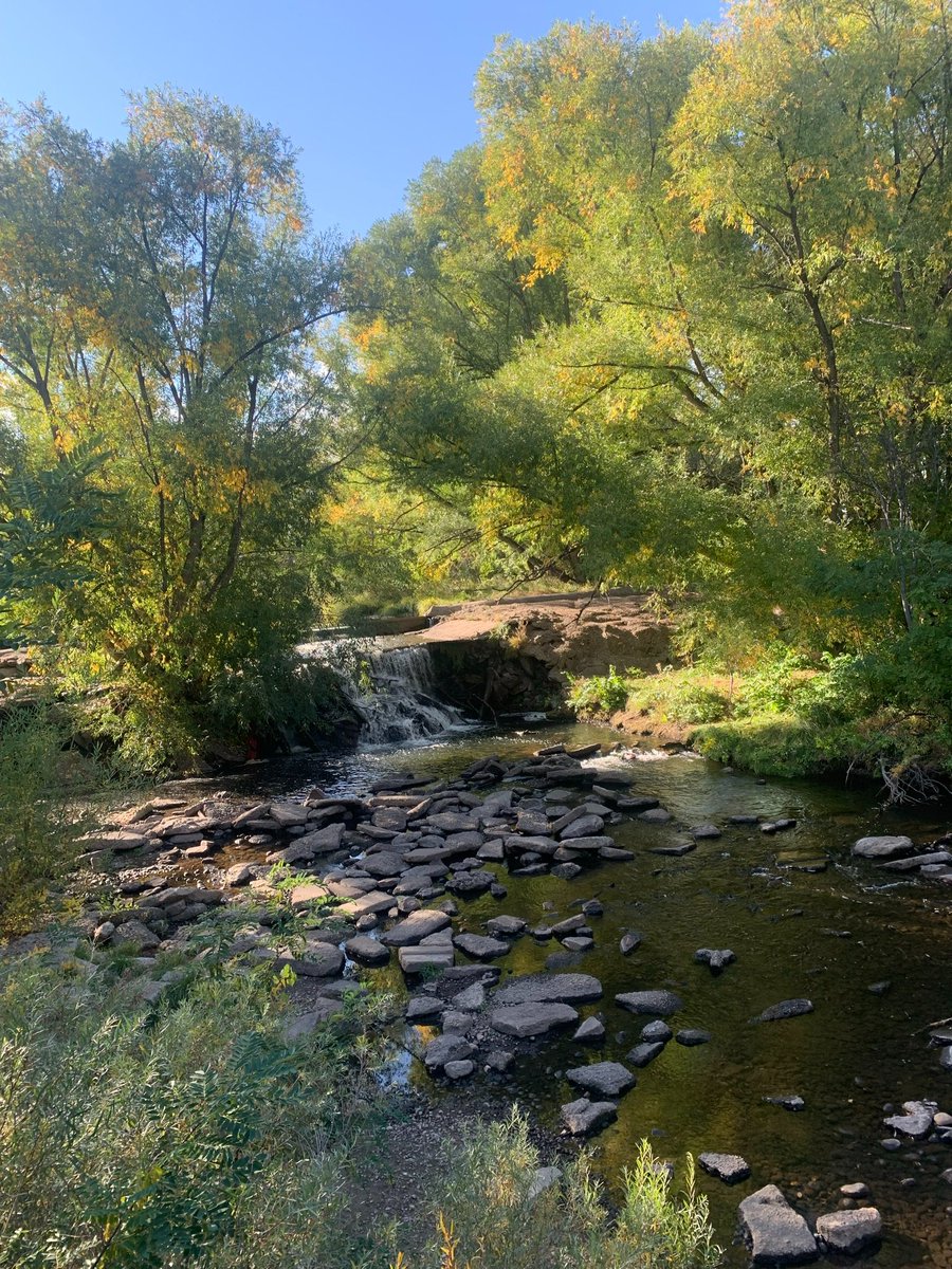 FrancoiseNetter's tweet image. "What a perfect time to practice the skill of resiliency and attitudinal shifts."

For more information on Podcasts, classes or services and products contact us at bodyminddynamics.org. --Francoise

#BodyMindDynamics #Grit #Educator #Class #Holocaust #Testimonial #Humanity