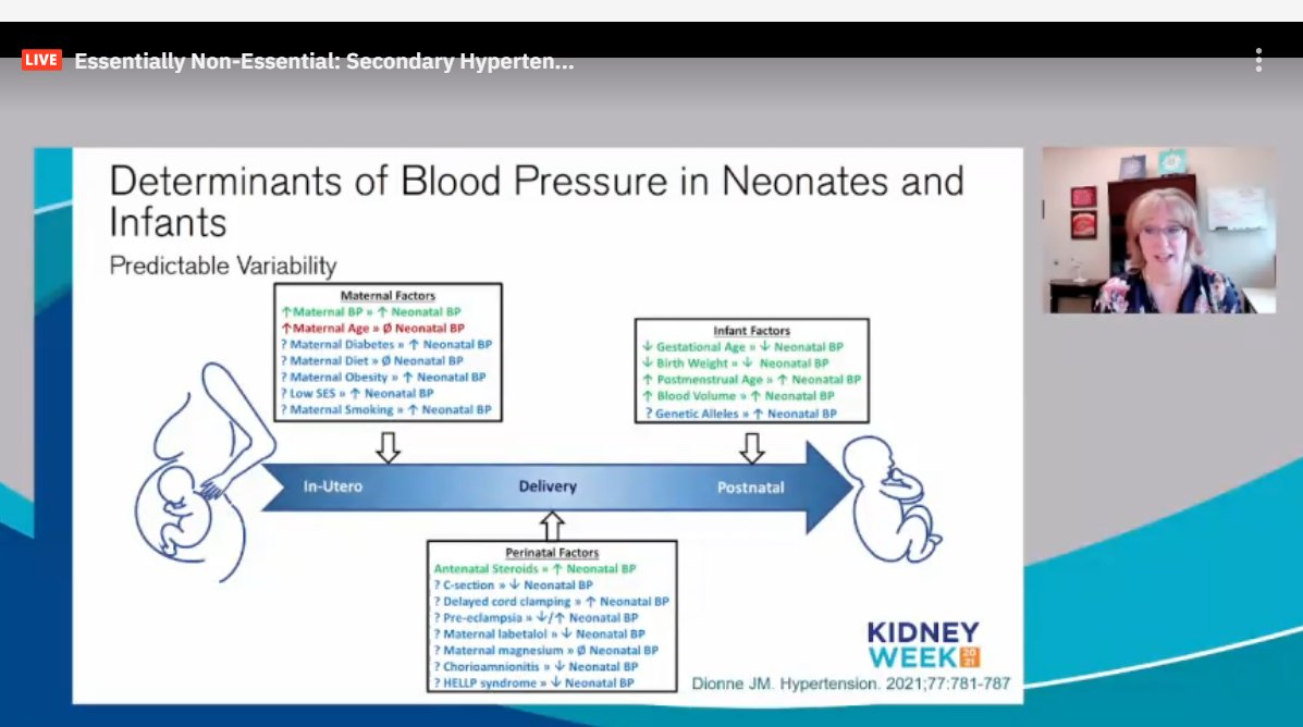 drM_sudha's tweet photo. Essentially Non-Essential: #SecondaryHypertension Updates
Talk 4/ 4: Neonatal Intensive Care Unit and Beyond: Association of Acquired Early Life Exposures on Cardiovascular Health by Dr.Janis Dionne
#ASNKids21 #KidneyWk #HTN #PedsHTN #NeonatalHTN
@ASPNeph @AspnResearch https://t.co/30bpB1KrNQ