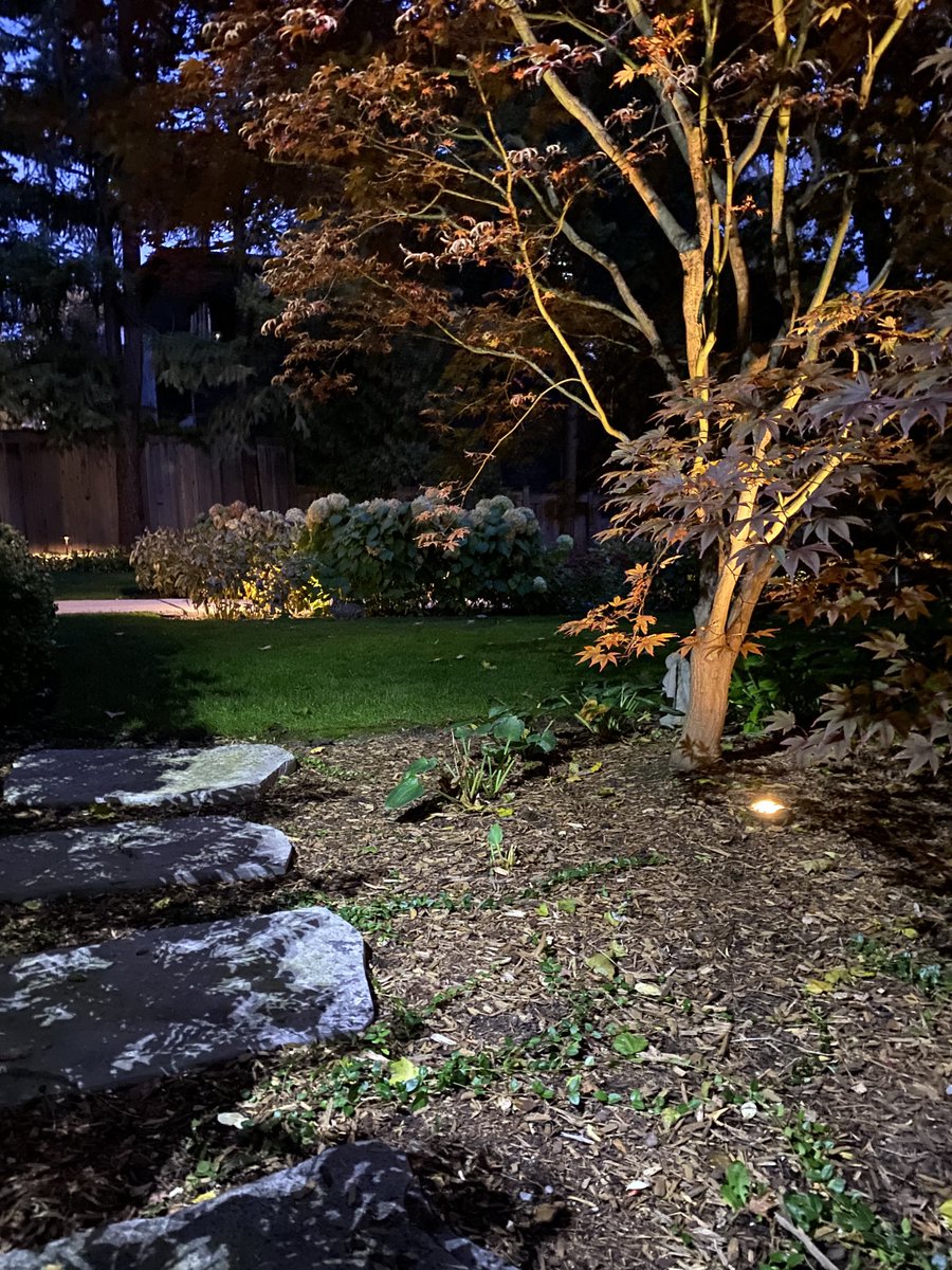 Tom Curry tweet media