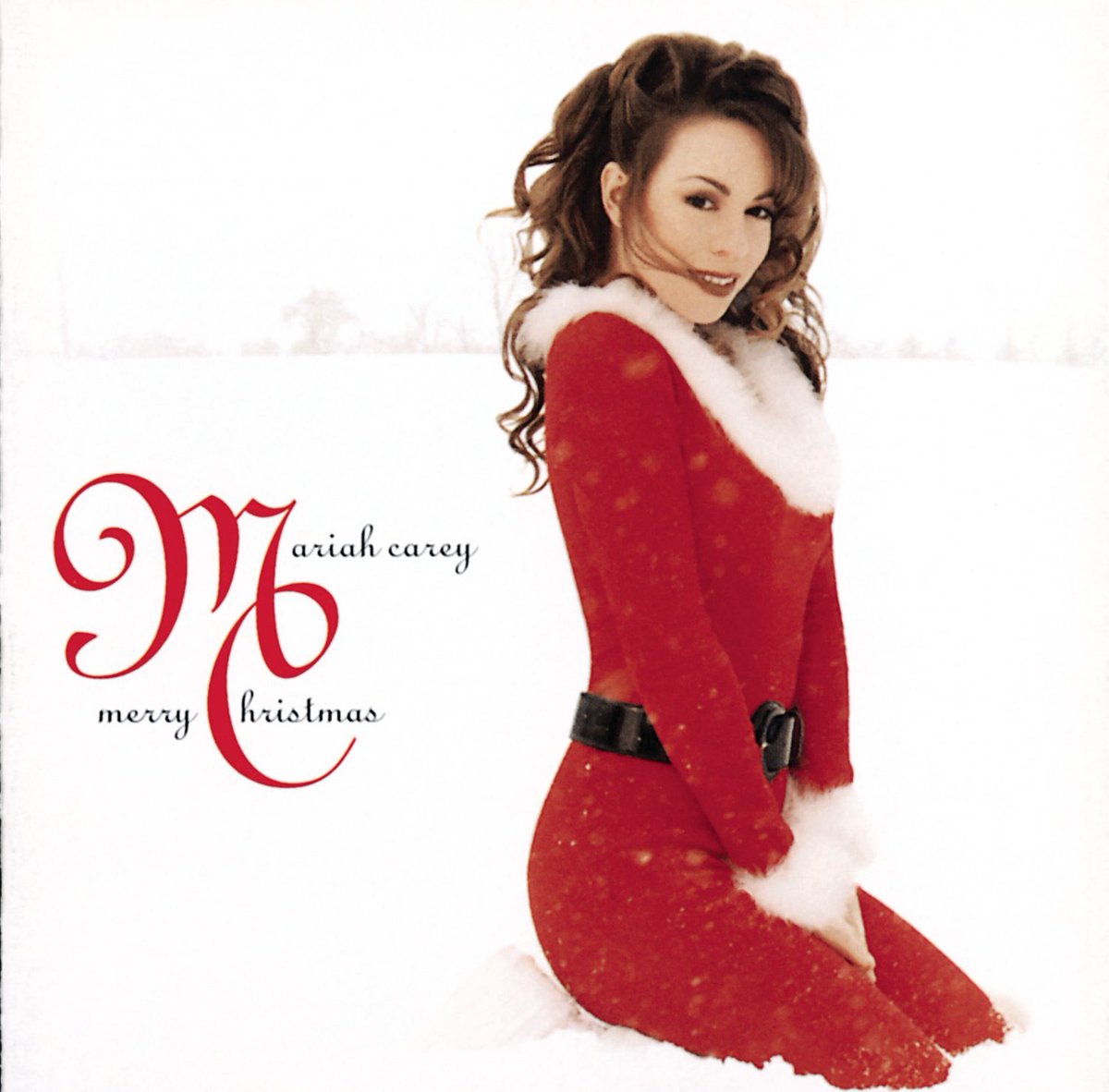 ChristmasCount's tweet photo. Just one of those nights, am I right? https://t.co/xyedv6Usrq