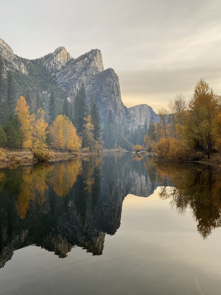 Vieparlafoi tweet media