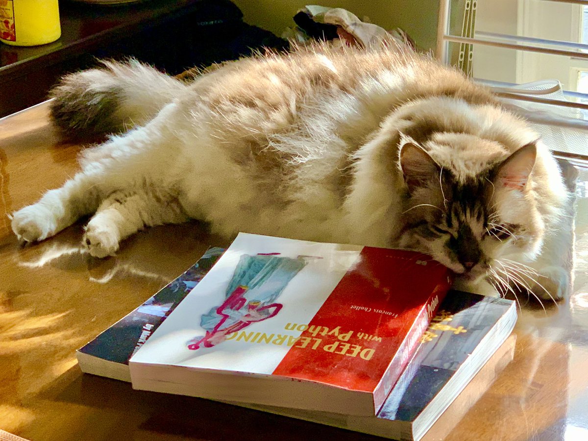 Cat thinking about deep learning