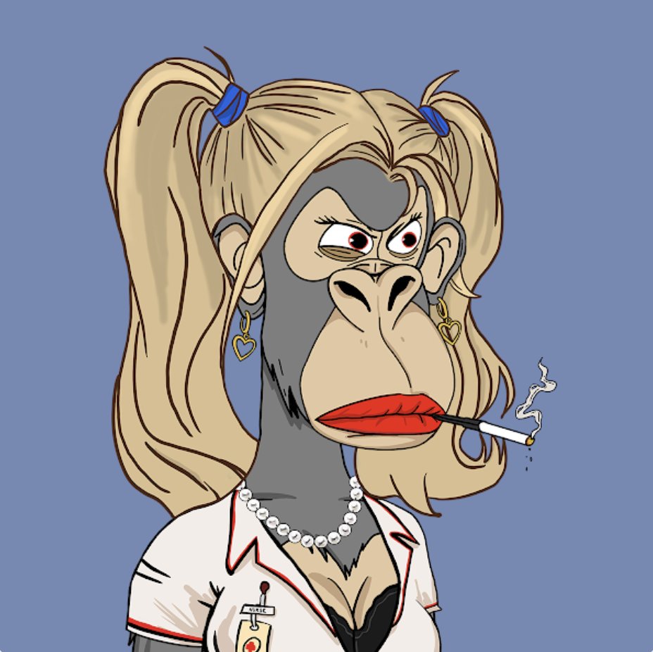 lauren *∘✩. tweet media