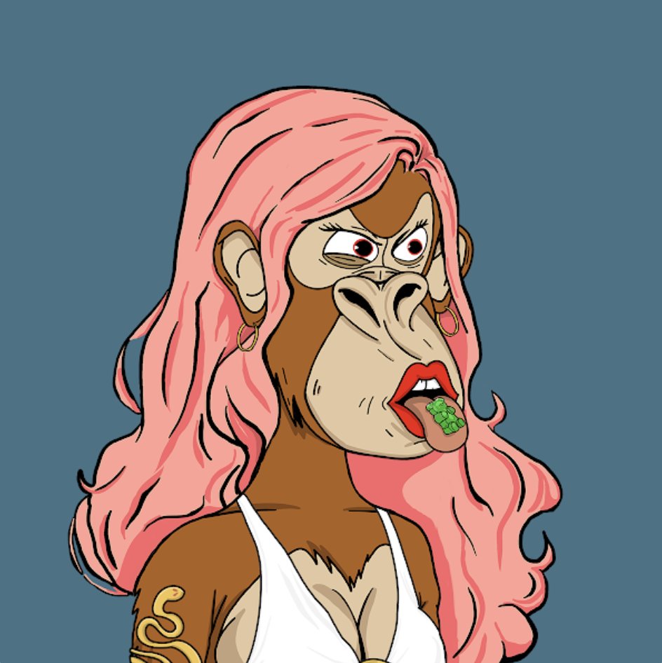 lauren *∘✩. tweet media