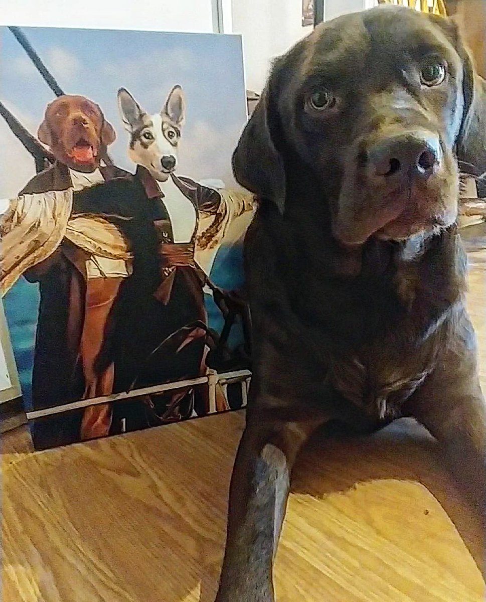 Morty_and_Freya's tweet photo. Check out this completely awesome #titanic canvas art! 

@doggovinci did an absolutely amazing job for us - what do you think?? 

We cannot stop laughing at how great this truly is! 

#canvasart #funnydog #canvasedit #masterpiece #dogsoftwitter #dog #dogsofguelph #funny https://t.co/OSCBTJyyEk