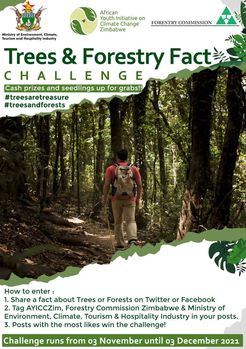 MOTHI_ZIMBABWE's tweet photo. Join the challenge today.
#Treesourtreasure
#treesforests
#ecosystemrestoration
#improvelivehoods https://t.co/5RAbX7tFyO
