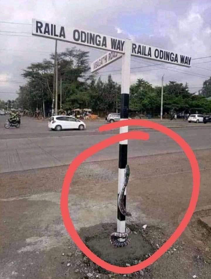 jomingo24's tweet image. This is more strange than fiction. Any connection with the statement made during the release of BBI? "Nyoka imetoka pangoni"@MillicentOmanga @WilliamsRuto @OleItumbi @KBonimtetezi @essyokenyuri @Aaroncheruiyot @kipmurkomen