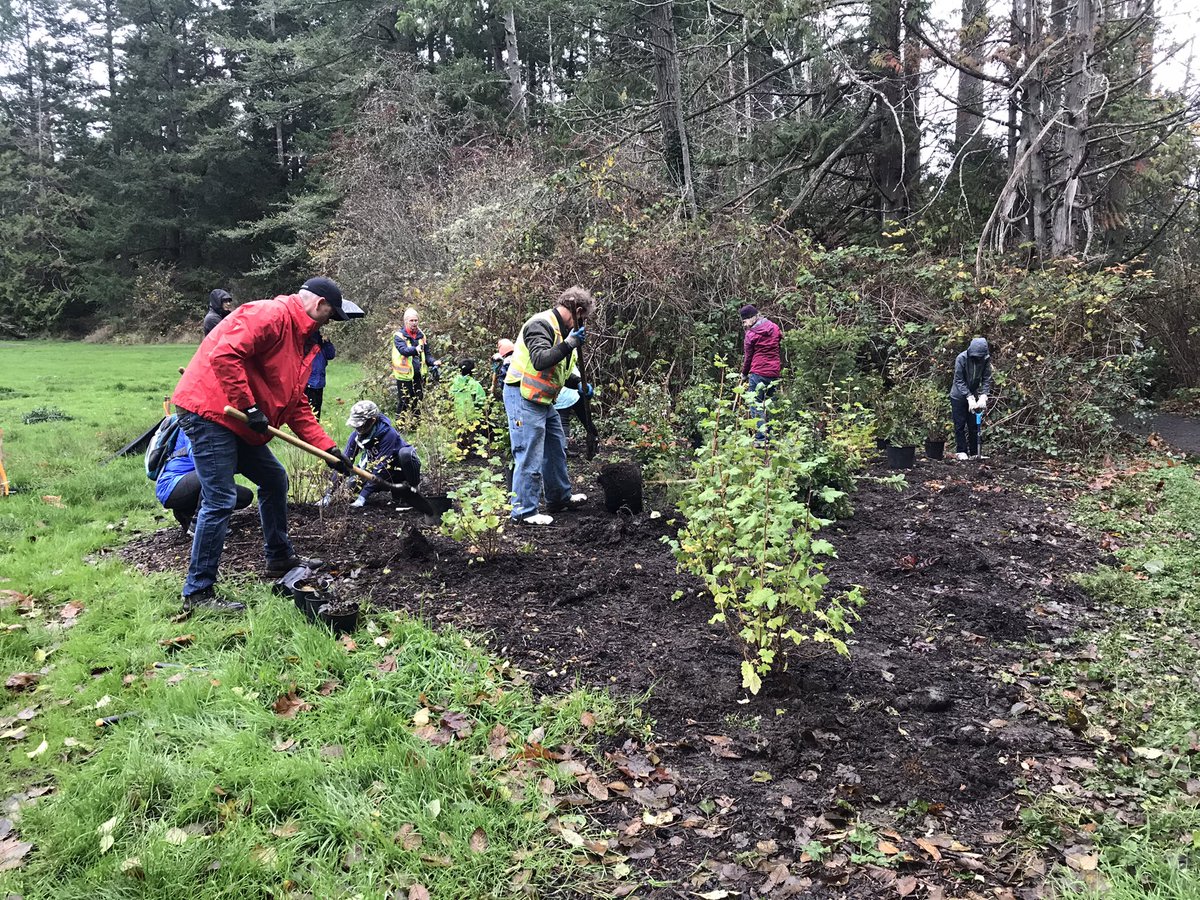 RJMersereau's tweet photo. Great turnout for #TreeAppreciationDay at McMinn Park in #Saanich!
Many hands make light work.
So special to see so many little ones contributing! https://t.co/NmM17rMc6X