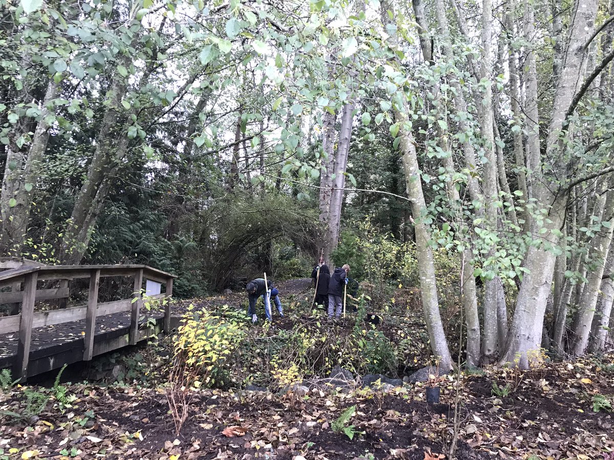 RJMersereau's tweet photo. Great turnout for #TreeAppreciationDay at McMinn Park in #Saanich!
Many hands make light work.
So special to see so many little ones contributing! https://t.co/NmM17rMc6X