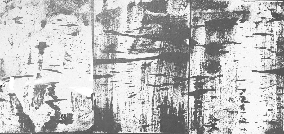 Peter Ford tweet media