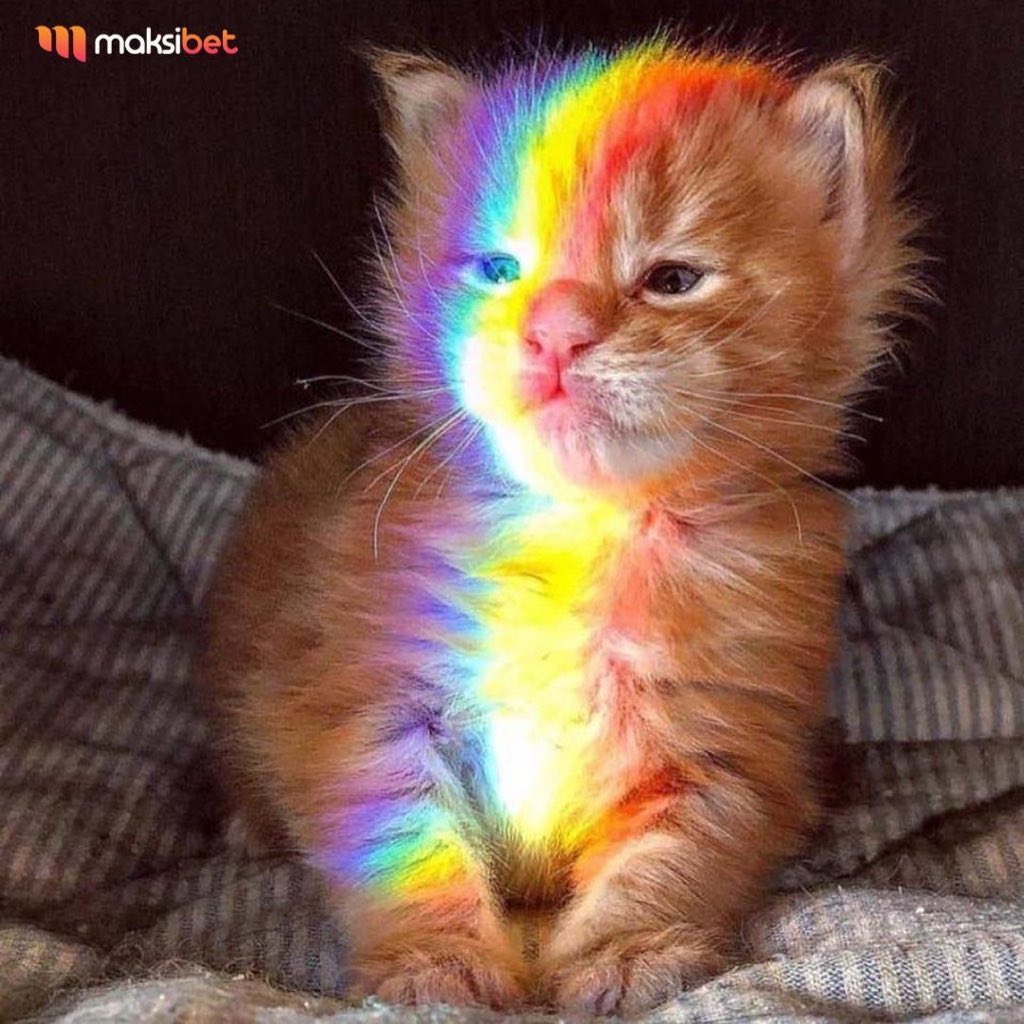 günes mi actın sen annem