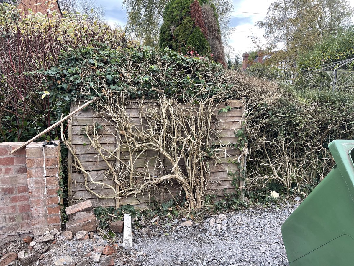 jakeahess's tweet photo. #NovemberPushUpChallenge
Month target➡️3000=100 x30days
Day6✅ 2400 to go
Toughest 100 so far: ‘releasing’ this fence panel beforehand might be the reason
#ChooseUrSupportAndPushUp https://t.co/zhq2tWYshu
