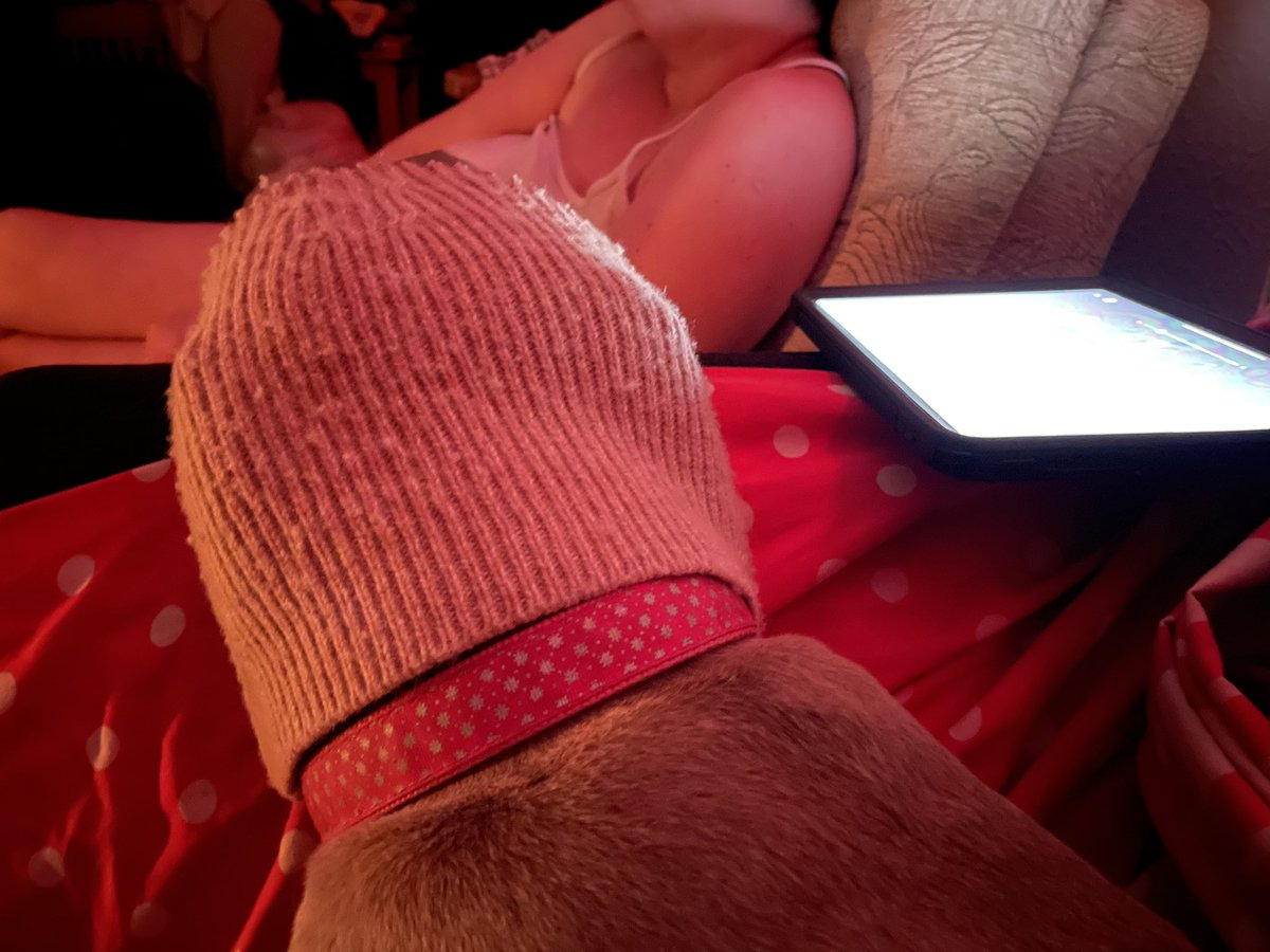 Trevor Patterson tweet media