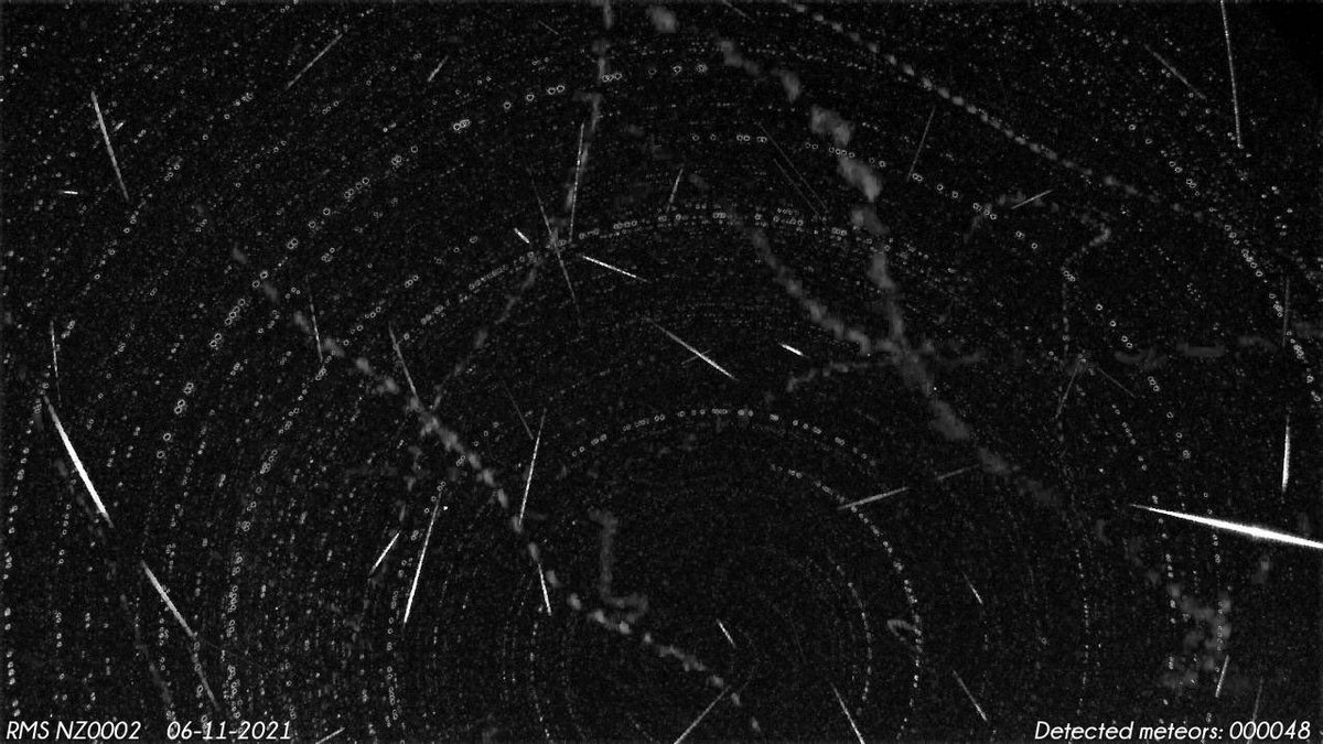 TasmanSkies's tweet photo. 48 meteors detected on #NZ0002 #GMN #meteorcam over #Motueka last night https://t.co/bGO7sOgHwB