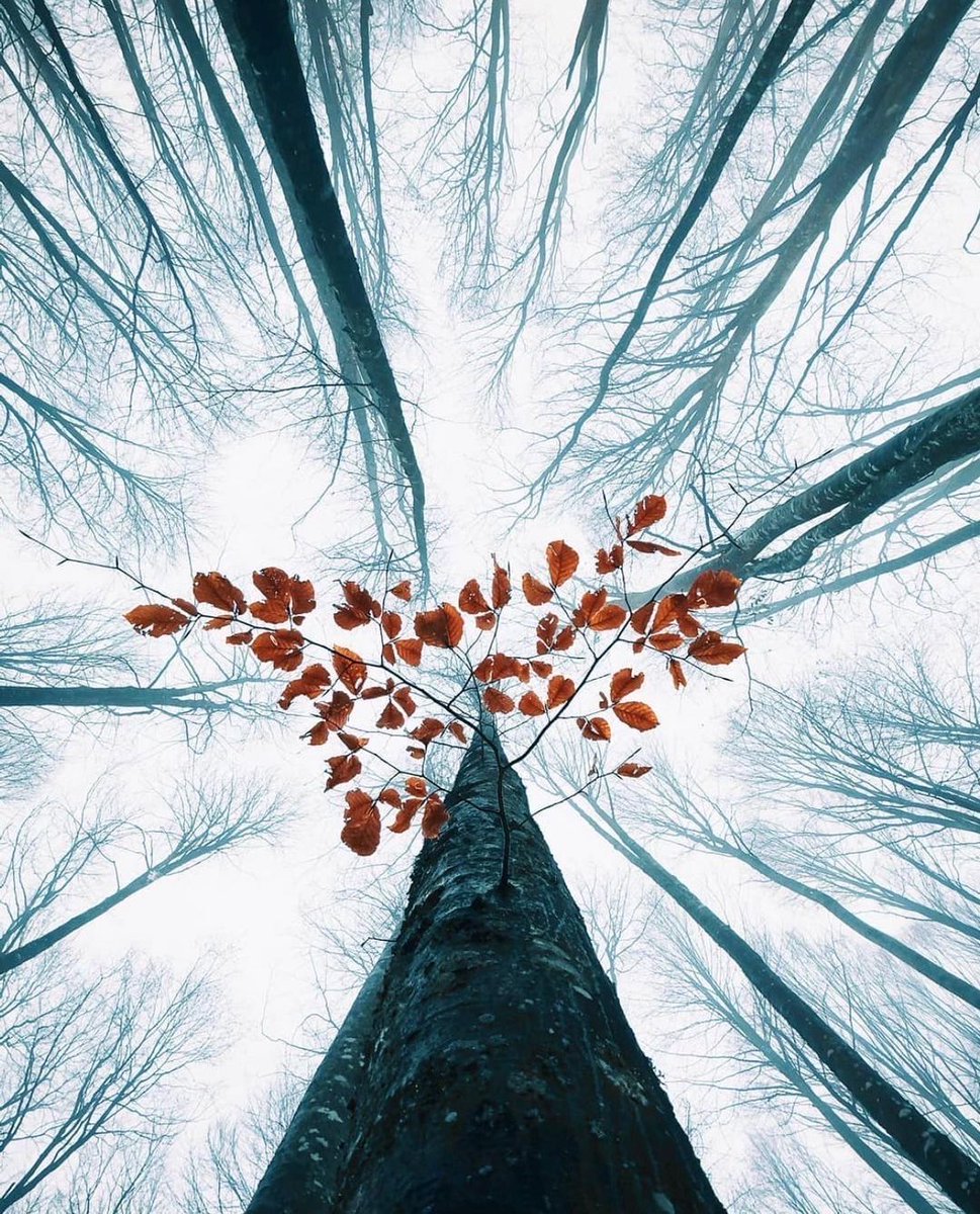 youminimalism's tweet photo. https://t.co/awIQQJyC3x