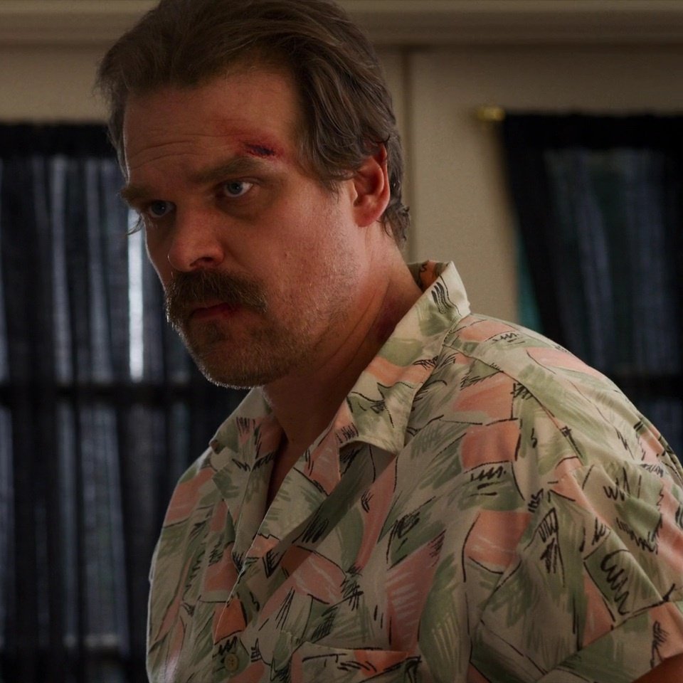 best of david harbour on Twitter "David Harbour as Jim Hopper in