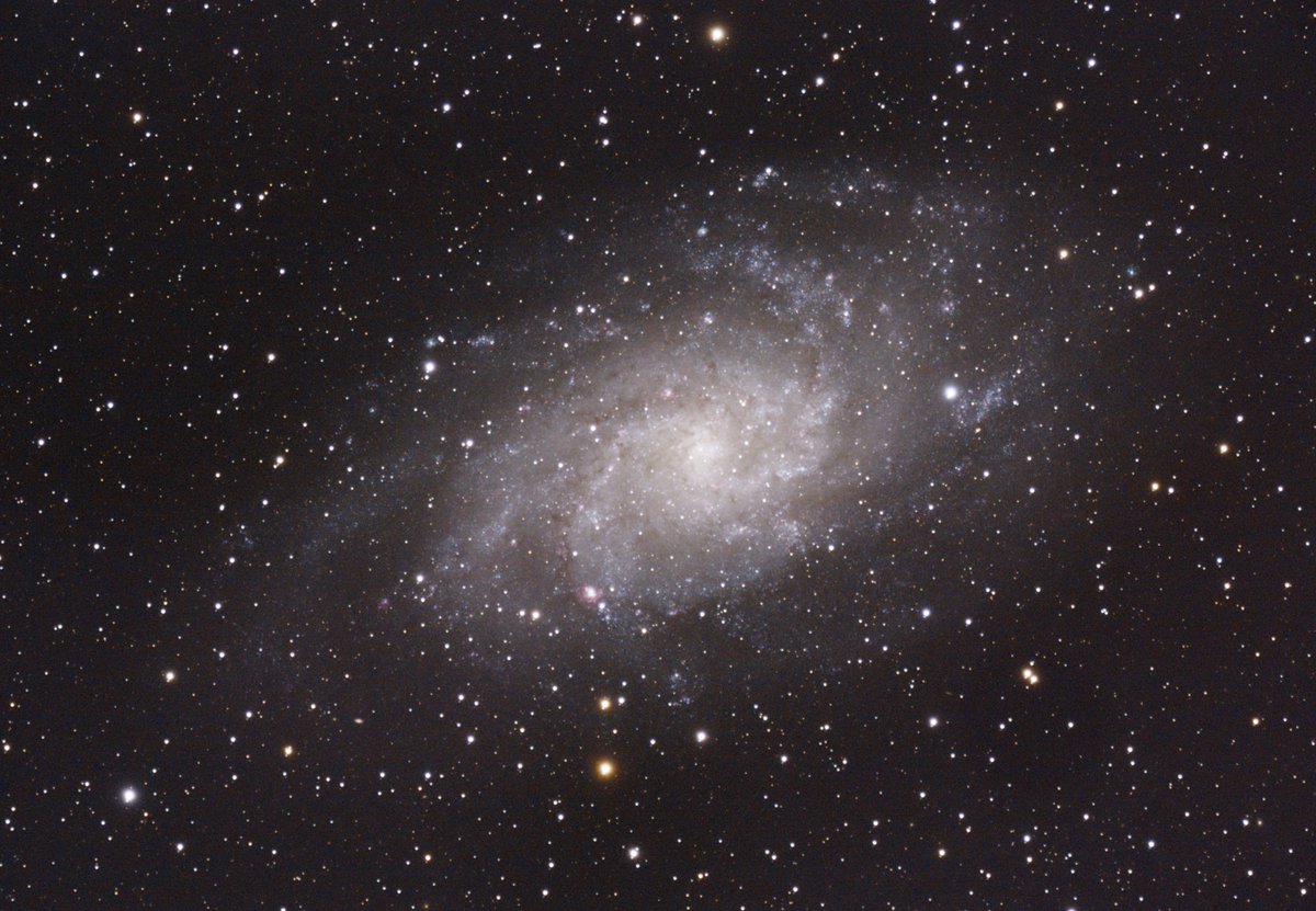 Gavin96641409's tweet photo. Triangulum galaxy, 3 hours 44 minutes https://t.co/GoEBKnxlIA