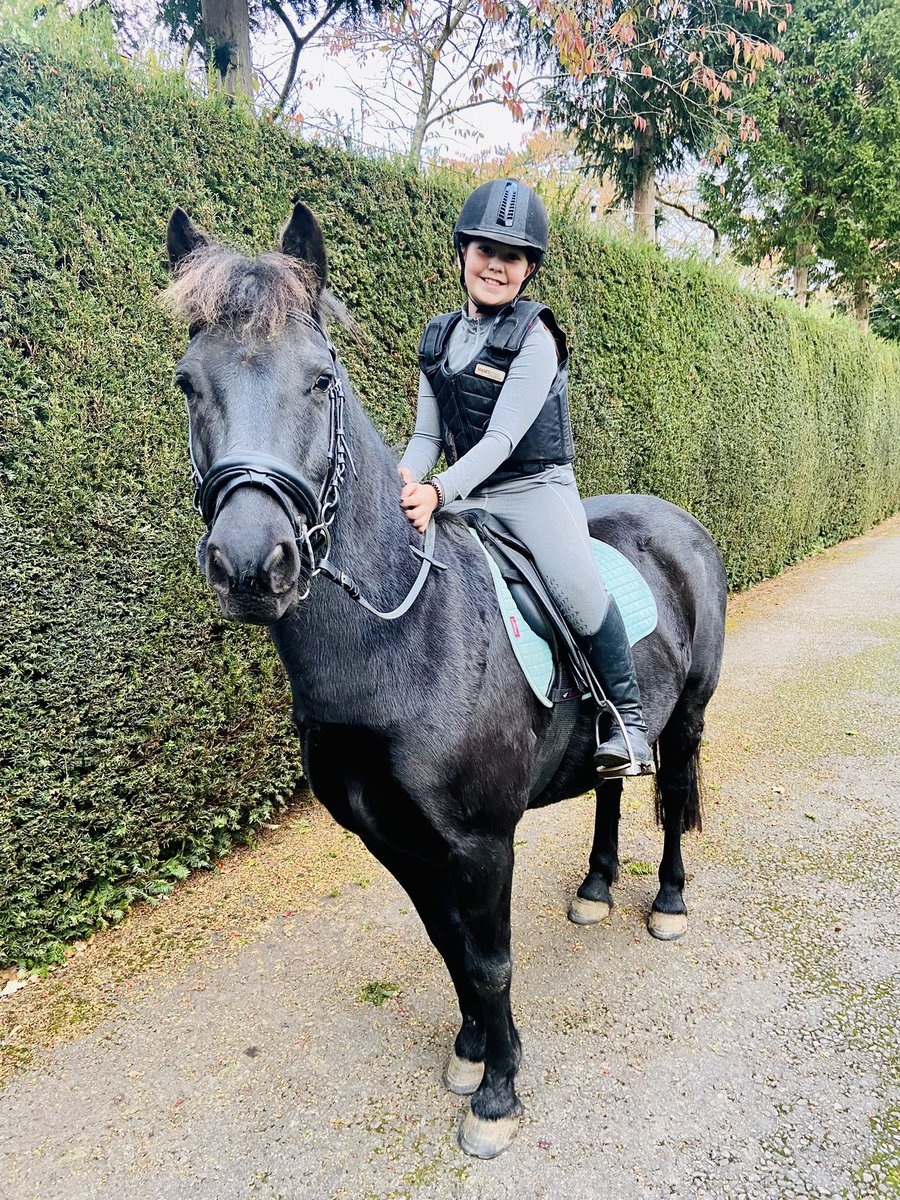 KerrieGibbons's tweet photo. The new one! Getting to know you! Our very own black beauty! #blackjack #secondpony #jumpingjacks #LoveStory #pocketrocket #blackbeauty #dotandjack https://t.co/y3bufvdclQ