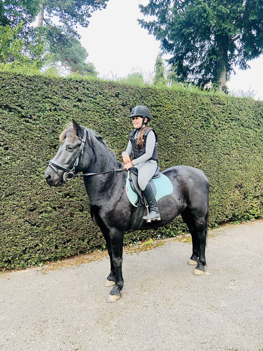 KerrieGibbons's tweet photo. The new one! Getting to know you! Our very own black beauty! #blackjack #secondpony #jumpingjacks #LoveStory #pocketrocket #blackbeauty #dotandjack https://t.co/y3bufvdclQ