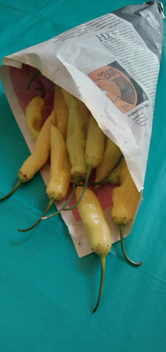 juan_colil's tweet photo. Fui a la feria y compré ají, el vendedor los echó en un cartucho de diario, me di  cuenta que estaba hecho con el diario en que aparecía la crítica a mi novela "espejismo cruel".  
Le dije -yo soy el de la foto. Él miró el diario, me miró a mi y me dijo
-Se parece, pero no es. https://t.co/pQPQzjVHo9
