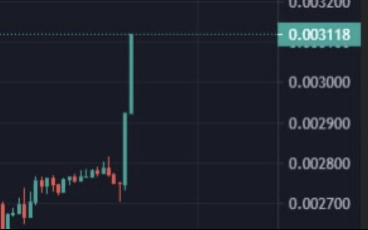 GremlinsCoin's tweet photo. OVER 3 MILLION MARKET CAP IN 48 HOURS !!! 🤯
#GREM #BTC https://t.co/mkvsXt1lFT