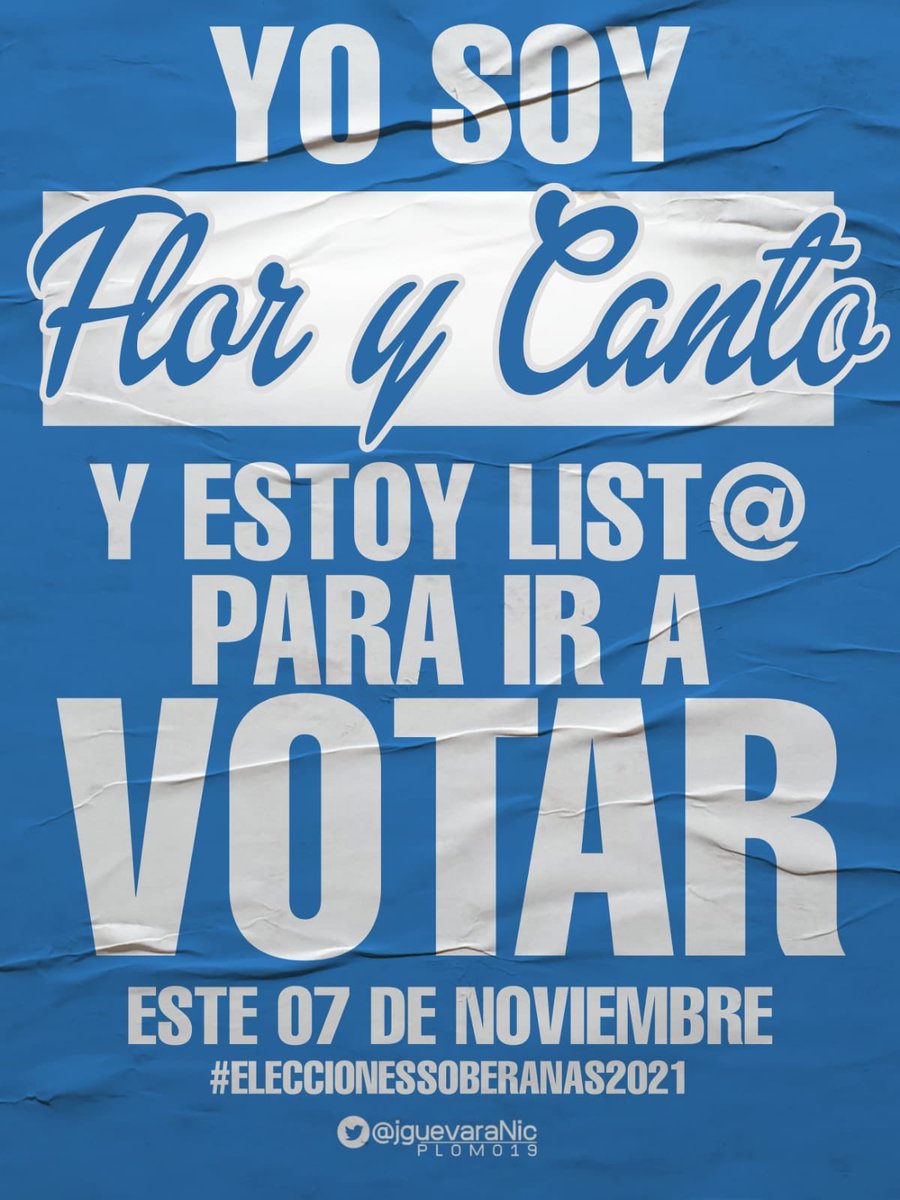 FLOR 🐦 🫰🏼 tweet media
