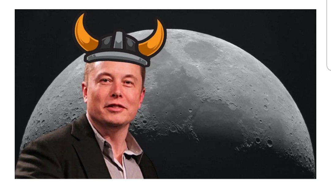 RSeadini's tweet photo. @SpaceVikingsLLC @elonmusk https://t.co/8jnemO0iVJ