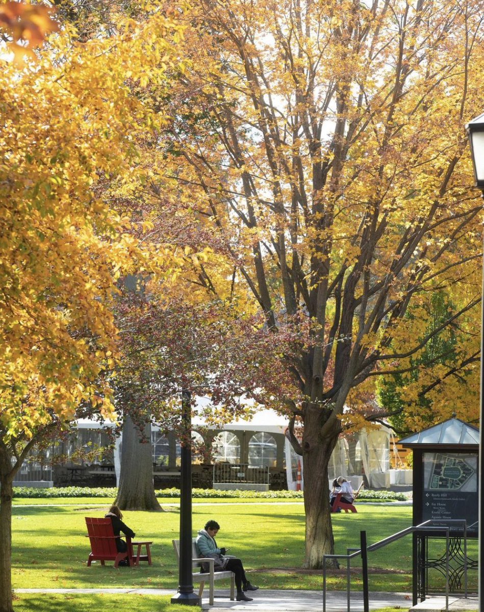 ILoveHarvard1's tweet photo. 📸 MOODBOARD
Harvard en automne 🍂🍂

Source : Harvard University Instagram https://t.co/bpn9eUkhRj
