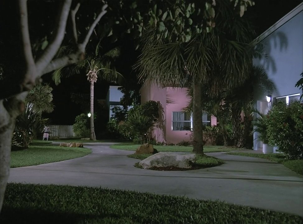 MTVC0PS's tweet photo. definitely miami! https://t.co/i36P1LhR4j