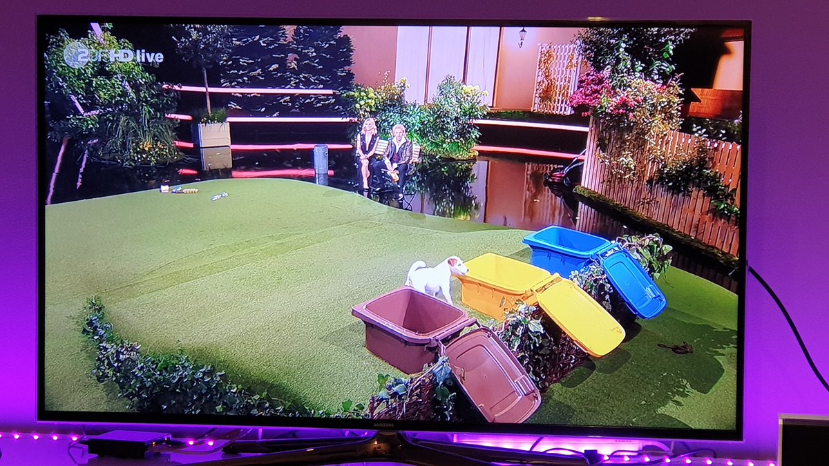 Da wird die Kamera wirklich so gestellt, dass man nicht sieht wie die alte dem dreckigen Köter zeigt welche Tonne die richtige ist? Ist das noch normal? #Gottschalk #abfall