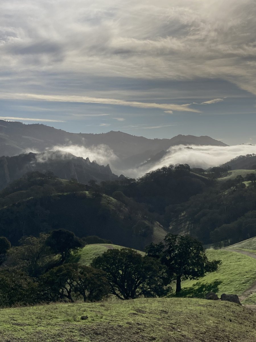 RickLindroth's tweet photo. I quickly tire of the crowds/congestion of the #EastBay (CA) area, where I frequently visit. But these open spaces! #MountDiablo #ShellRidge https://t.co/8A2iJOZkug