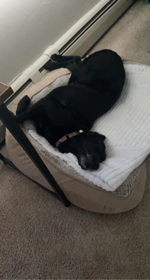 Michael Pappas tweet media