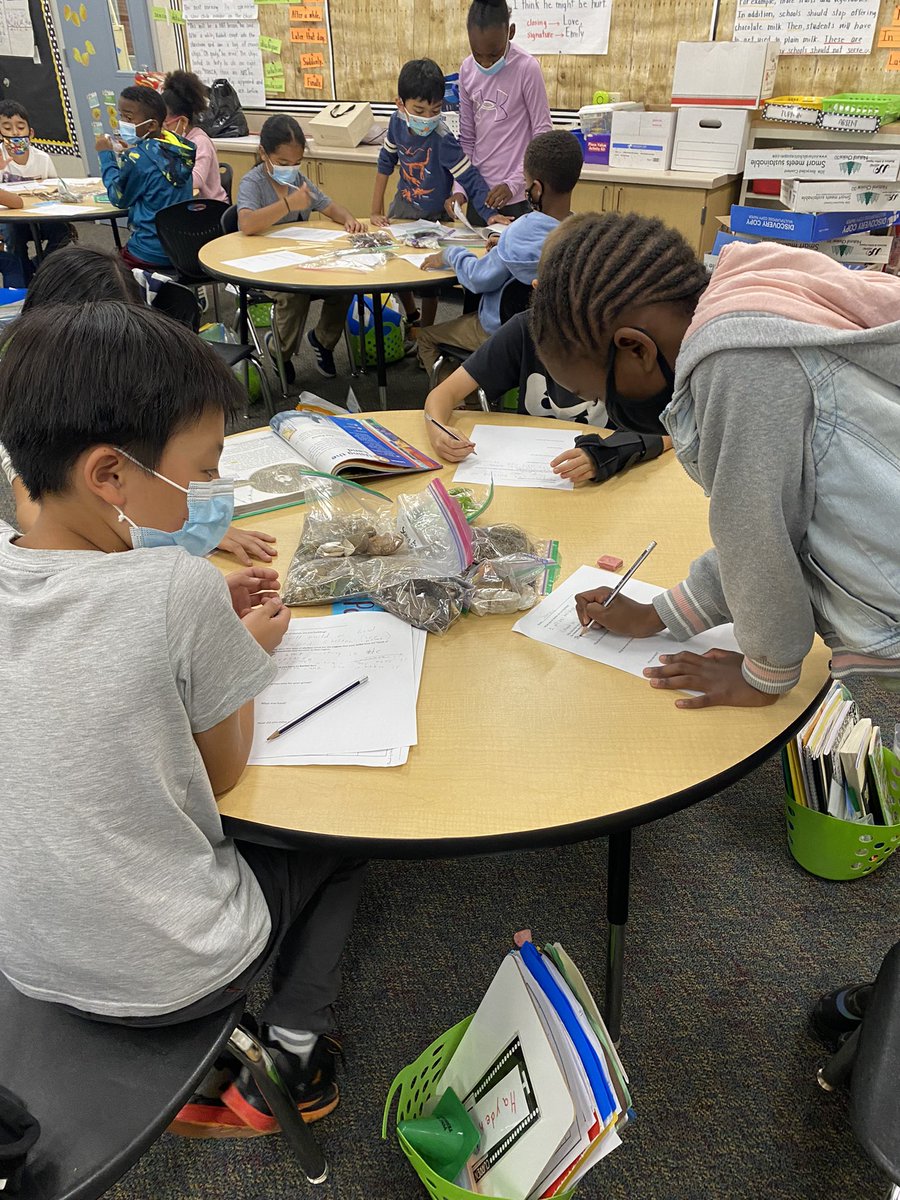 SuzanneFelix4's tweet photo. Building Native American Shelters best quote of the day “this is hard the native Americans must of been very clever” #Collaboration #stem #shelters #iteachthird #wolfCANyon #plan #design #build #think #talk #workhardplayhard #naturalresources https://t.co/npFCUH9R0F