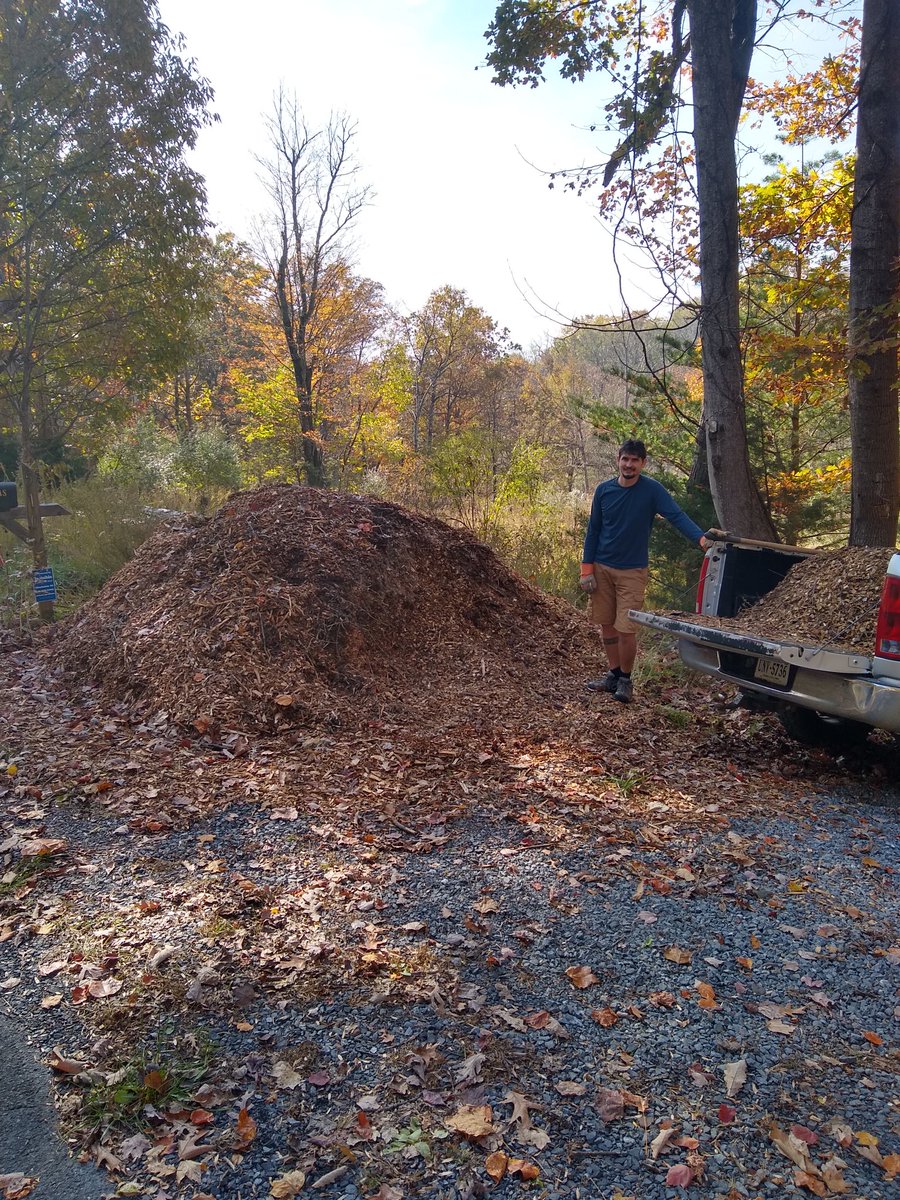 DrEmilyThomas's tweet photo. Ugh! This year's #chipdrop driver dumped a #dumptruck load of #mulch almost on top of our mailbox 1/10 mile from our house. This is our THIRD truck load and we're only 1/4 done
#nothingisfree #exhausted #workout #appliedcrossfit #wehaveuntilspring #cantcomplain #coupleswhoshovel https://t.co/1ydCYxv0IP