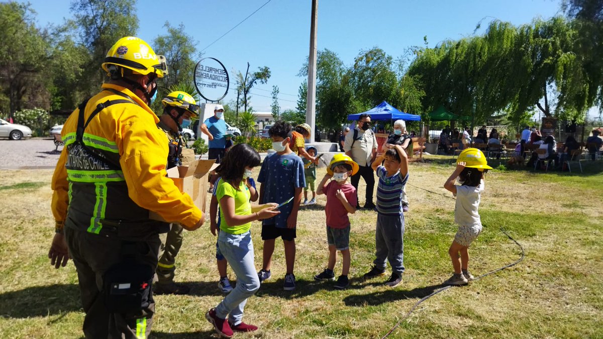1ª Brigada Forestal Voluntaria de Chile tweet media