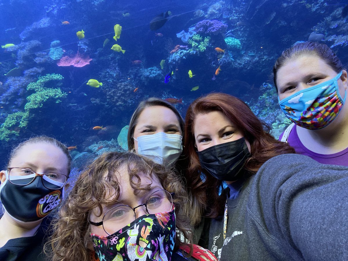 TheTeacherMeyer's tweet photo. We had so much fun learning how the aquarium works! Did y’all know that the Georgia Aquarium is STEM Certified? I learned so many things about how it functions, inspires space research, and my favorite, ocean bioluminescence! ⁦@VaughanRockets⁩ #STEMCobb #VaughanSTEM https://t.co/1A5hJCMikL