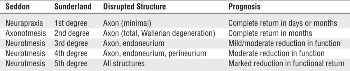 imc438's tweet photo. Seddon and Sunderland classification of nerve injury 🧠 https://t.co/Fu6ws0MksI