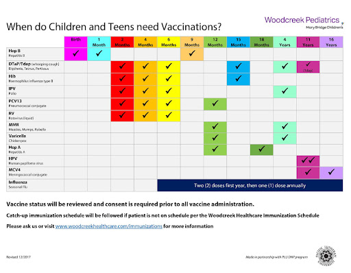 linseysykess's tweet photo. This is a graphic of what vaccines children should receive and when #healthmain @Health311 https://t.co/MZDlGJZzU6