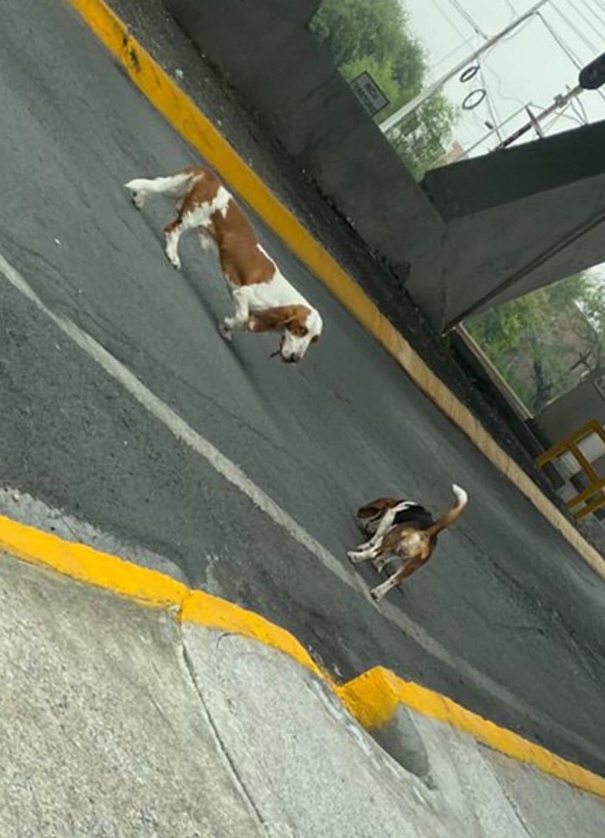 #LoQuePasaEnSN®️DM Abierto tweet media