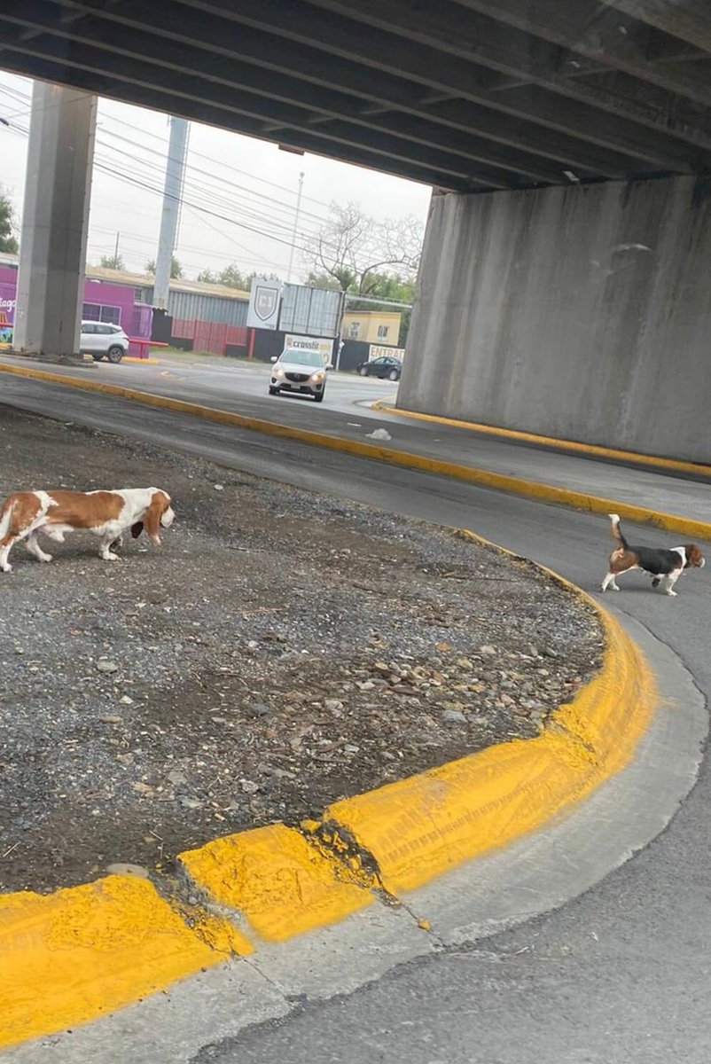 #LoQuePasaEnSN®️DM Abierto tweet media