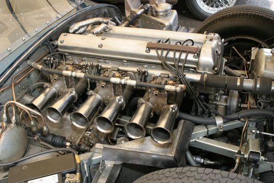 GordonMercedes9's tweet photo. #Caturday #Stackerday https://t.co/Ih5D5ju8uv