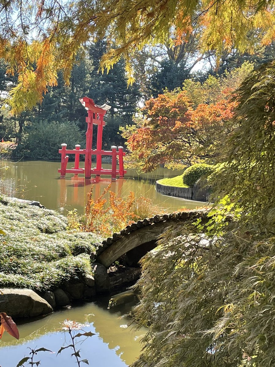 IvyGateflorals's tweet photo. #BrooklynBotanic home sweet home! https://t.co/52dX51MJWG