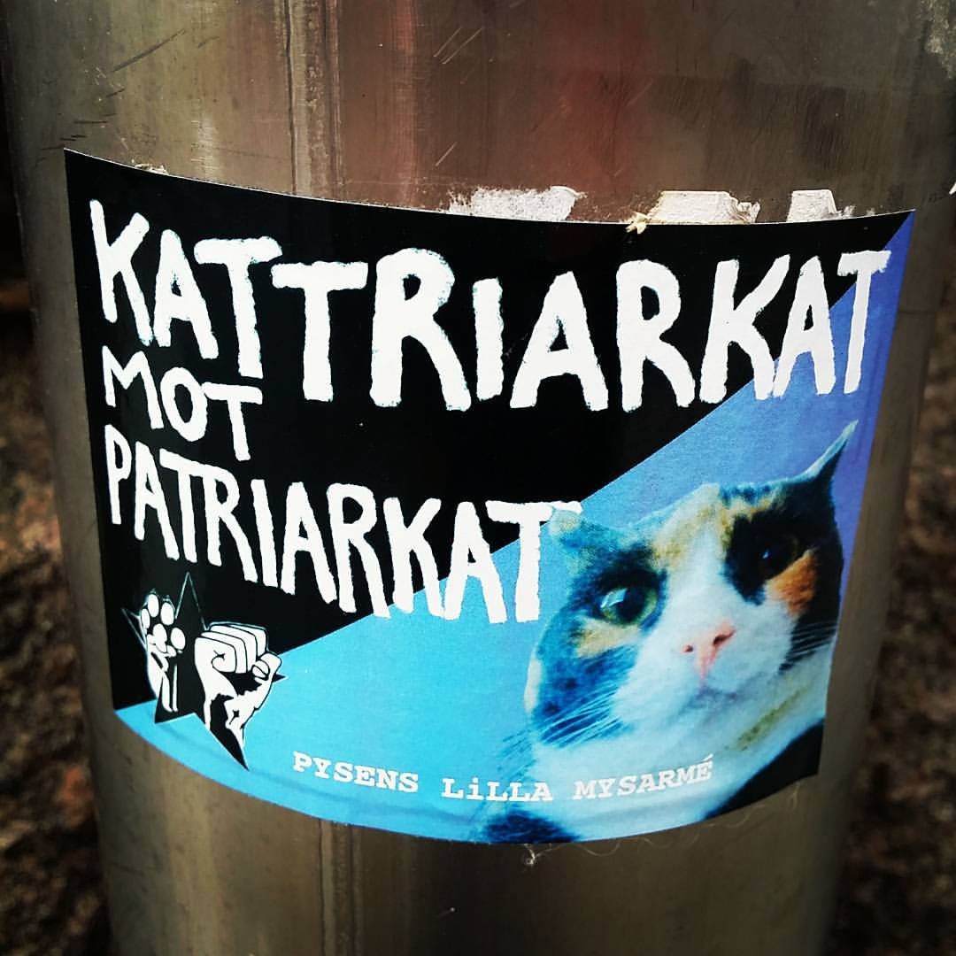 BinAnimals's tweet photo. "catriarchy against patriarchy" - Lilla armed peasants
#Malmö #catbloc #armedpeasants #pysensmysarmé #Sweden #Sverige https://t.co/eoh7a8l9HS