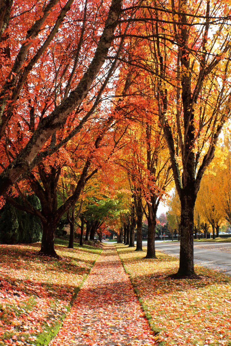 "A lovely Autumn day in Oregon."