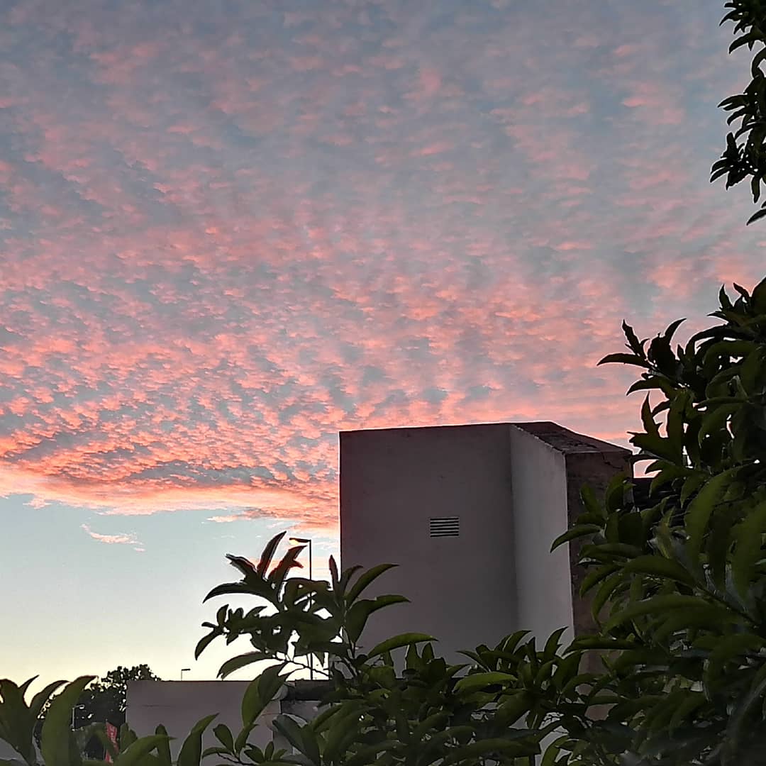 amylew_official's tweet photo. #cloud #clouds #picoftheday #photooftheday #potd #photography #cloudphotography #sunset #sunsetphotography https://t.co/JIASPMS0wo