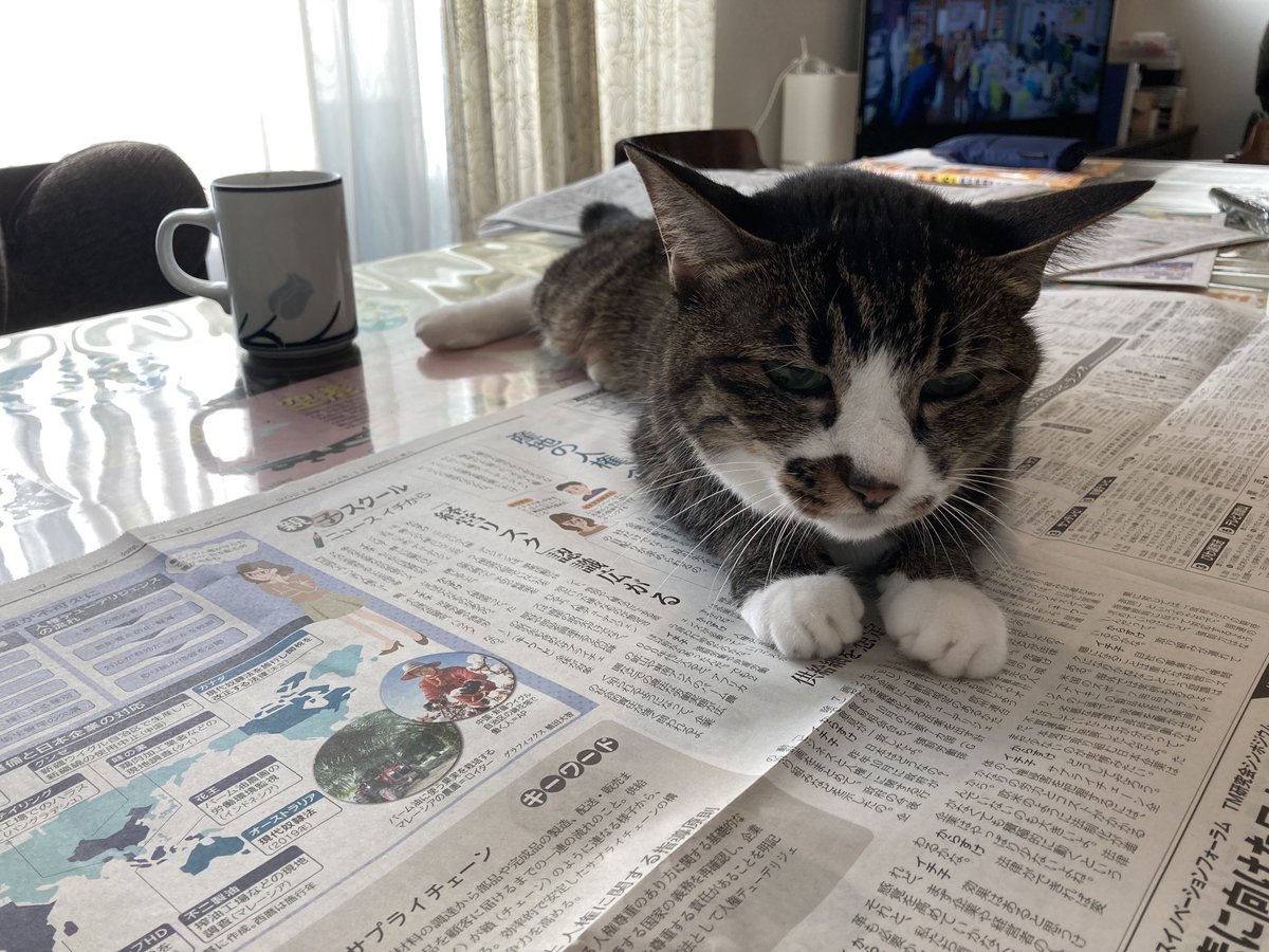 Aiko S Optimal Today