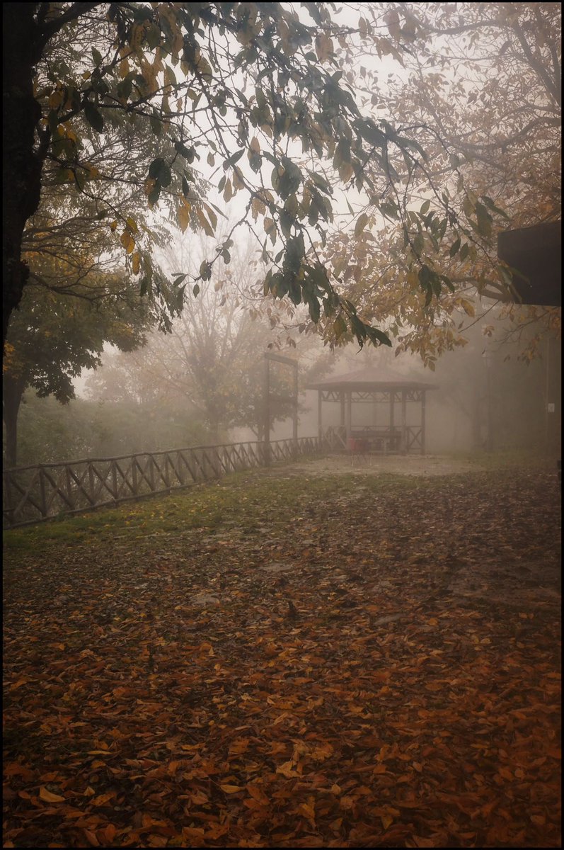 marcopelosi63's tweet photo. #Frigento #Avellino #AutumnFalls #PaesaggiIrpini Autunno a 911 metri di altezza s.l.m. 🍁🍂 https://t.co/hkE1u403x0