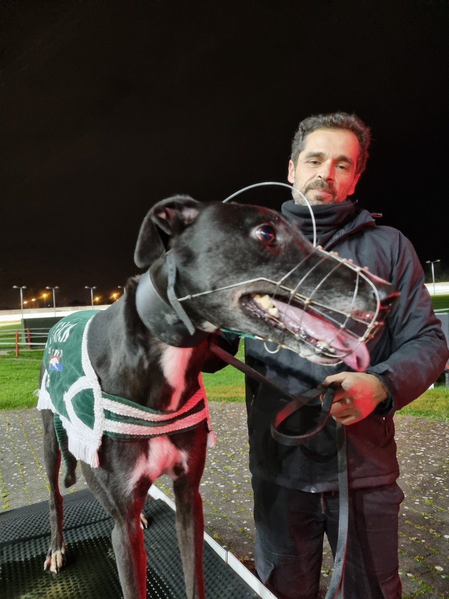 Limerick Greyhound Stadium tweet media